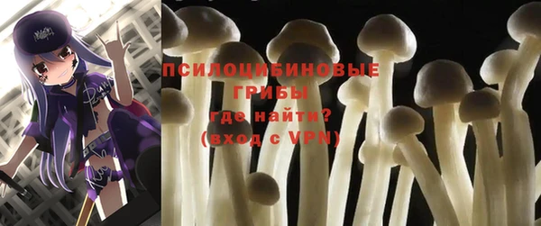 гидра Карталы
