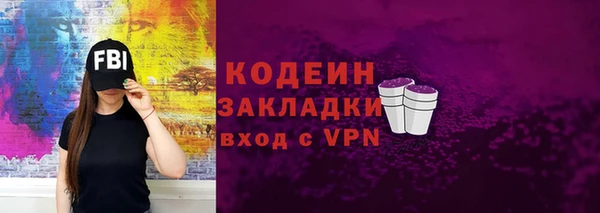 гидра Ессентукская