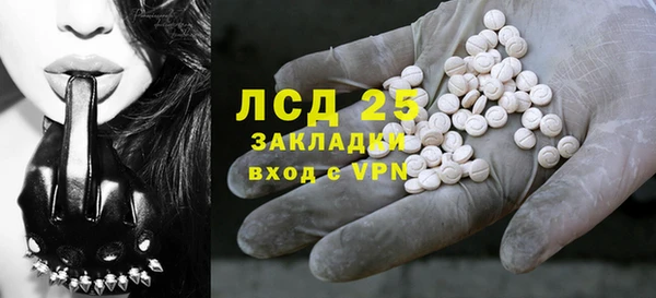 сатива Кинешма