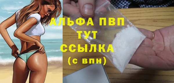 сатива Кинешма