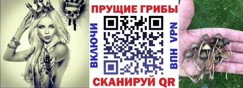 Псилоцибиновые грибы мицелий  как найти наркотики  МЕГА ТОР  Ленск 